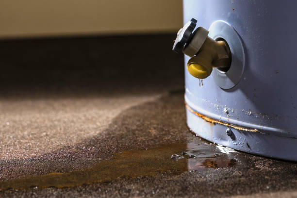 Best Flood damage cleanup  in Olivet, TN