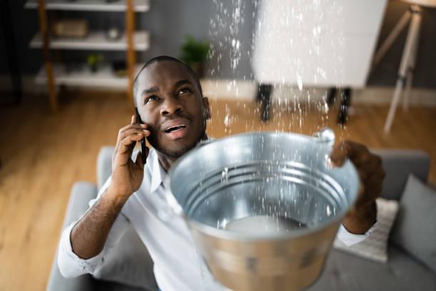 Best Professional water damage repair  in Olivet, TN