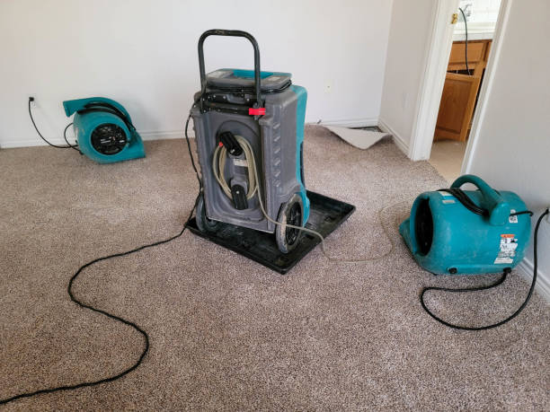 Best Carpet water damage restoration  in Olivet, TN