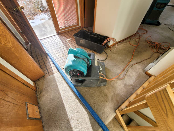 Best Flooded house restoration  in Olivet, TN
