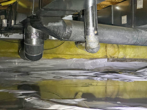Best Mold removal after water damage  in Olivet, TN